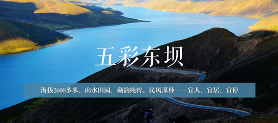 昌都左貢縣東壩鄉(xiāng)區(qū)域品牌定位方案