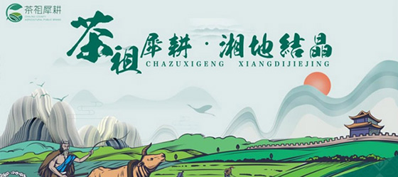 茶陵農(nóng)業(yè)區(qū)域品牌培育策劃案