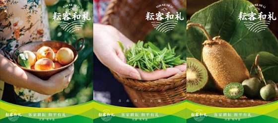 和平縣區(qū)域公用品牌建設(shè)