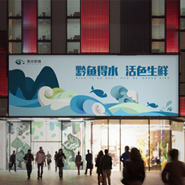 貴州黔魚主kv設(shè)計